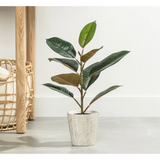 Rubber Tree 21h" Faux Potted Plant