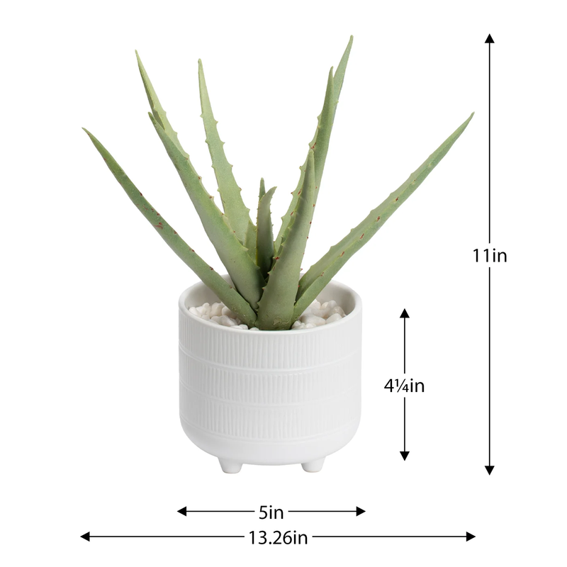 Riviera Ceramic Potted Faux 11h" Aloe Succulent Plant