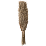 19.75" Dried Natural Star Grass Bunch