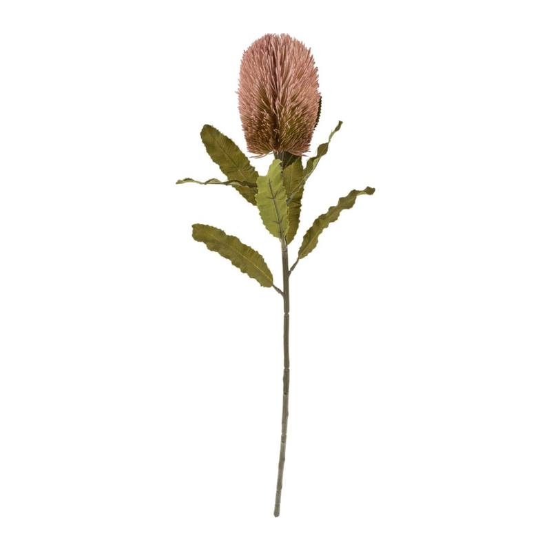 Banksia Floral Stem Pink