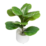 Riviera Ceramic Potted Faux 14h" Fiddle Leaf Fig Plant