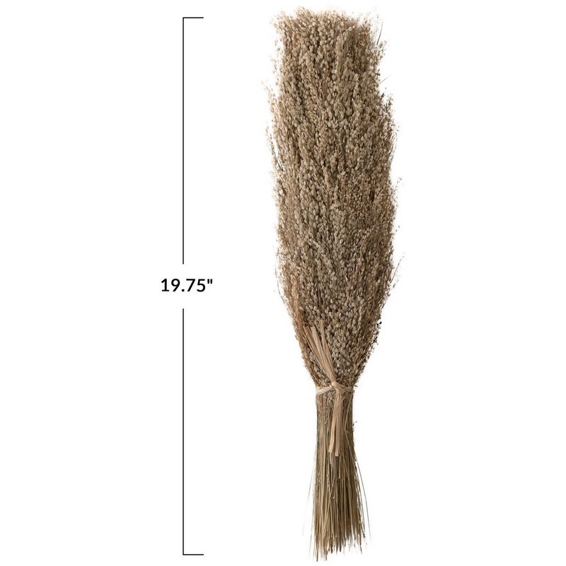 19.75" Dried Natural Star Grass Bunch