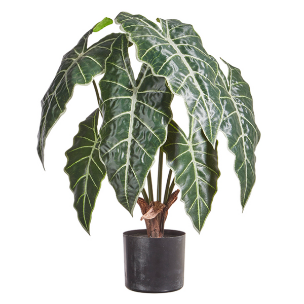 Potted House Plant 22.75"