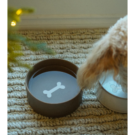 Pottery Pet Bowl