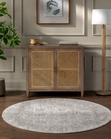 Masterpiece Rug in Cream/Light Gray