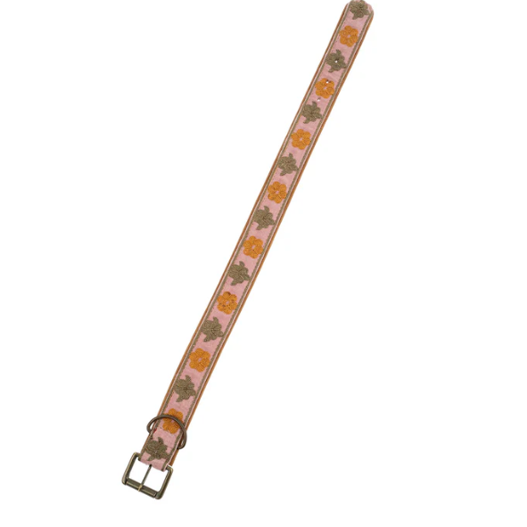 Dog Collar