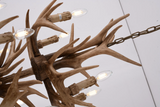 Layered Antler Chandelier in Natural | 42.5''
