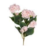 Hydrangea Branch in Pink