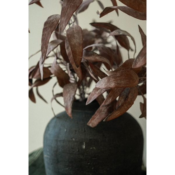 Dried Eucalyptus Stem in Purple