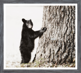 Smokey Mountain Cub Art
