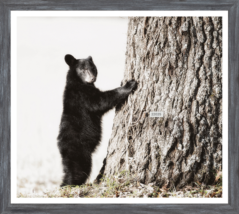 Smokey Mountain Cub Art