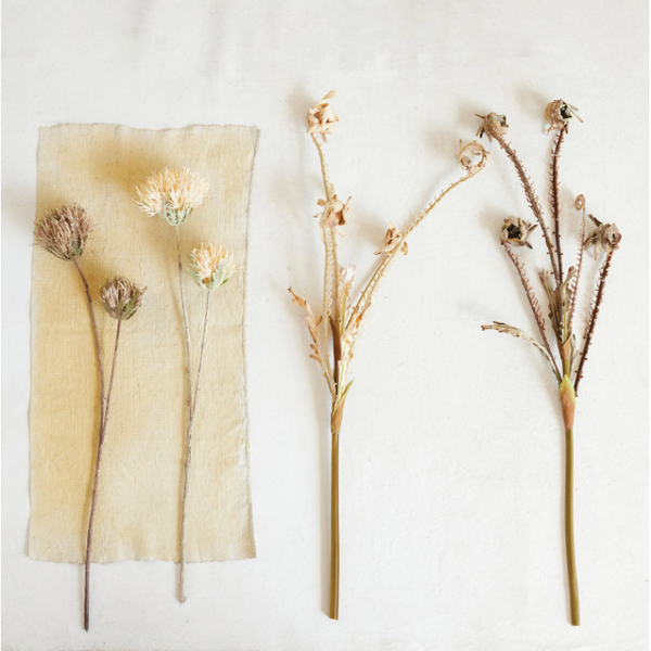 Thistle Flower Stem in Cream