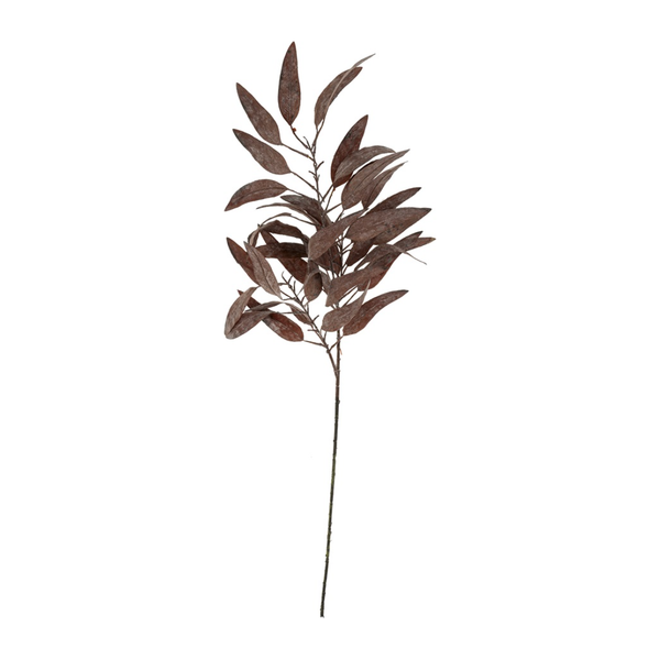 Dried Eucalyptus Stem in Purple