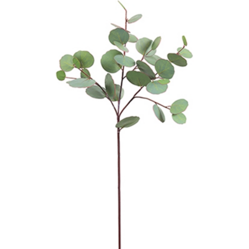 Eucalyptus Spray - 26"