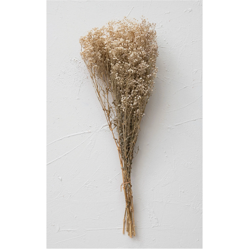 Dried Natural Baby's Breath Bunch - 32"