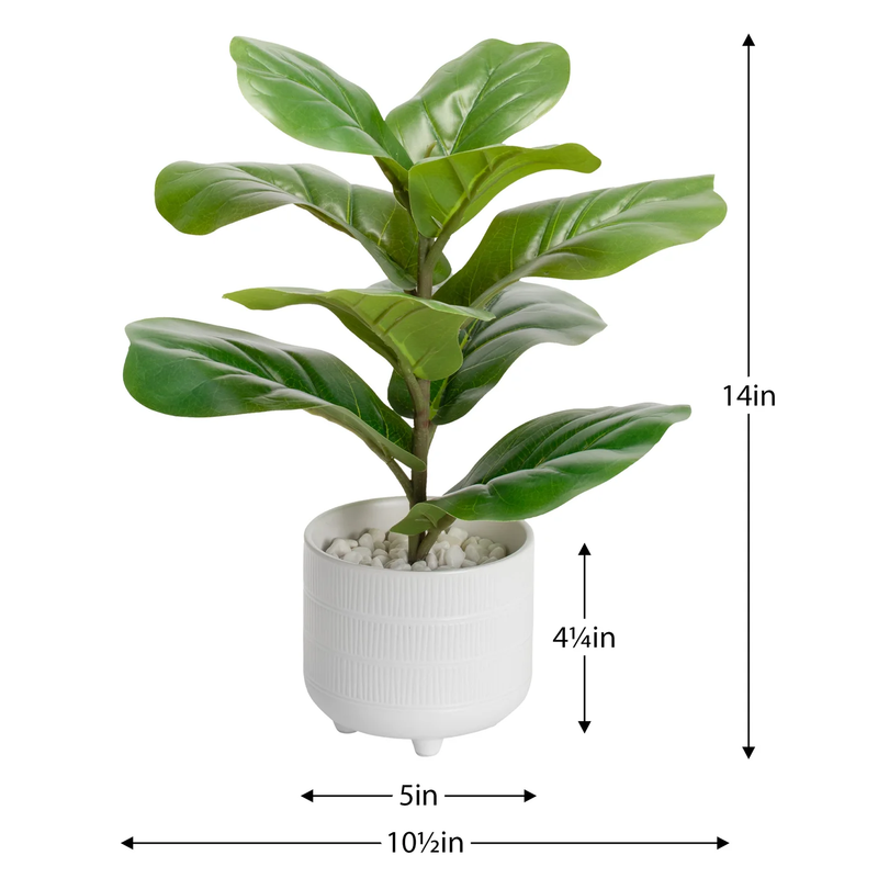 Riviera Ceramic Potted Faux 14h" Fiddle Leaf Fig Plant