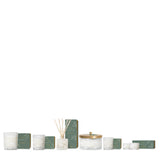 Frasier Fir Tidings Boxed Candle 13oz