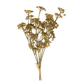 Meadow Grass Bouquet - Autumn