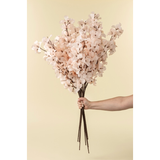 Bougainvillea Spray - Light Pink