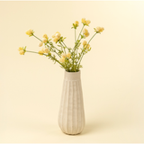 Dandelion Pom Spray | Cream