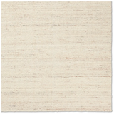 Solon in Birch