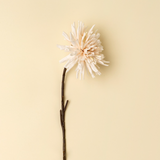 Dahlia Stem in Cream