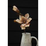 Magnolia Branch | Cream