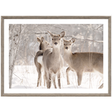Deer Trio with Grey Frame