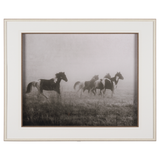 Horses on the Run