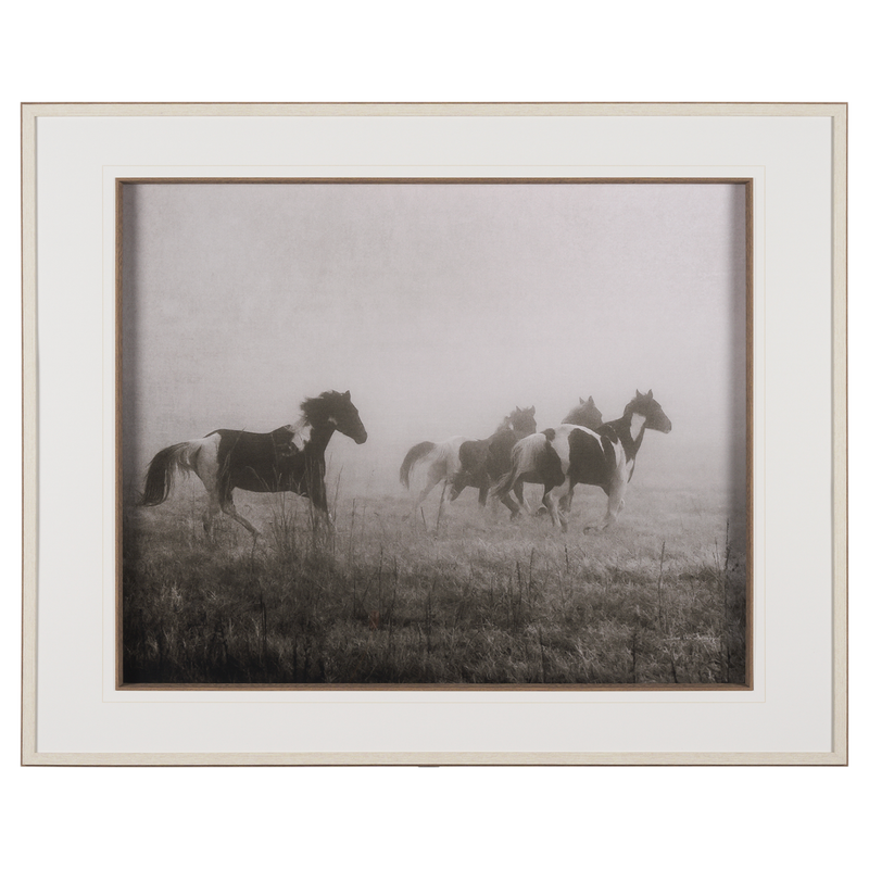 Horses on the Run