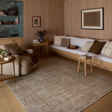 Cambria Rug in Multi Natural