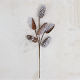 Natural Pinecone Stem in Snow Finish