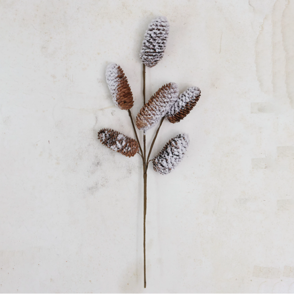Natural Pinecone Stem in Snow Finish