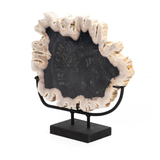 Petrified Wood Sculpture