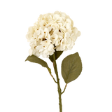 Hydrangea Stem in White