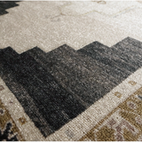 Casen Rug in Stellar