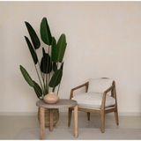 Rosa Club Chair | Sand Boucle