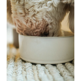 Pottery Pet Bowl