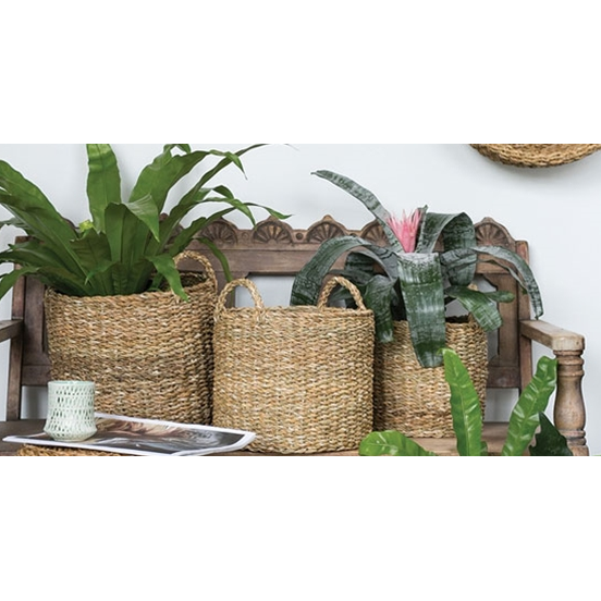 Hacienda Basket
