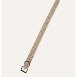 Dog Collar
