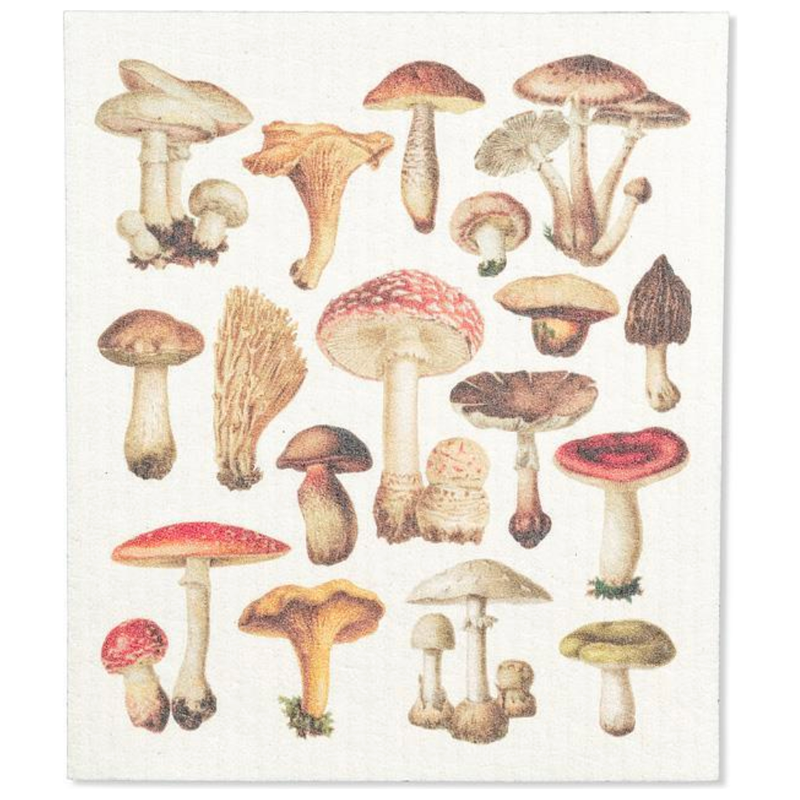 Size: 6.75x7.5"L
Material: Cellulose/Cotton
Color: White/Brown