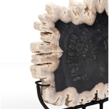 Petrified Wood Sculpture