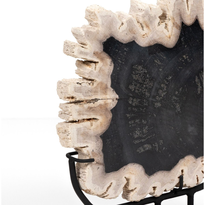 Petrified Wood Sculpture