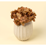Hydrangea Bouquet - Russet