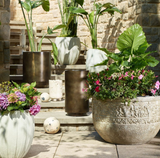 Regalia Planter