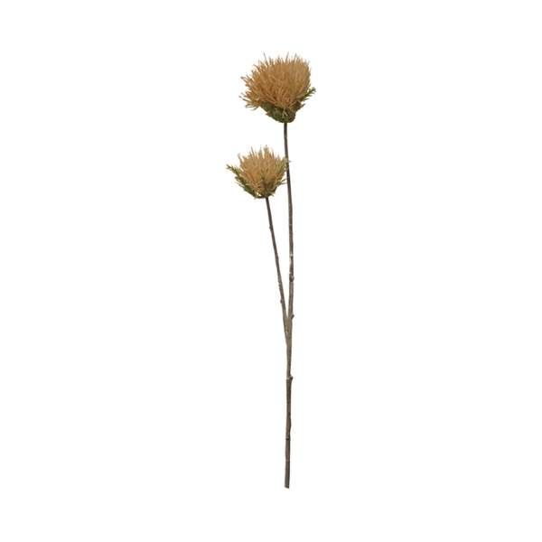 Thistle Flower Stem in Cream
