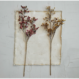 Burgundy Berry Stem