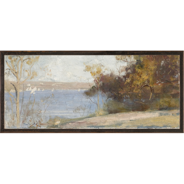 Northern Collection - Lake View C. 1894