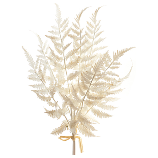 20" Soft Touch White Fern Bundle