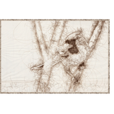 Nature Sketch Collection